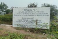 Foto : Plang Ahli Waris Alm. Ramli Halim (Lim Mo Siang)