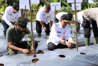Pj Bupati Pada Saat Menanam Bibit Cabai ( Foto : Istimewa )