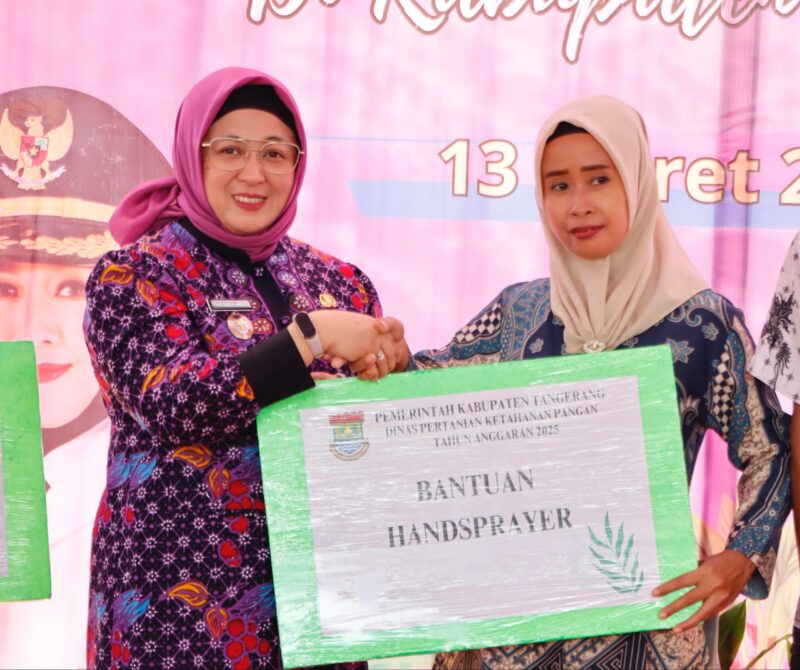 Wakil Bupati Intan Nurul Hikmah ( Foto : Istimewa )