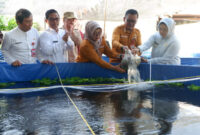 Wabup Tangerang, Intan Nurul Hikmah
( FOTO : ISTIMEWA ) 