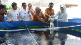 Wabup Tangerang, Intan Nurul Hikmah
( FOTO : ISTIMEWA ) 