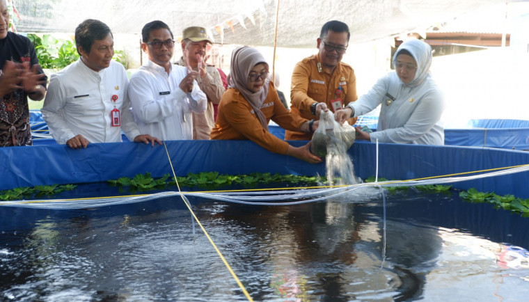 Wabup Tangerang, Intan Nurul Hikmah
( FOTO : ISTIMEWA ) 